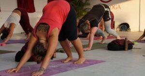 Students-are-performing-Surya-Namaskar-Poses-at-Diya-Yoga